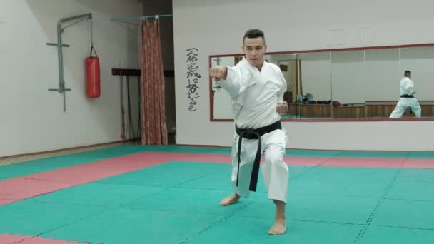 Junger Mann mit muskulösem Körper, der Kampfkunst Goju-Ryu Karate-Do trainiert — Stockvideo