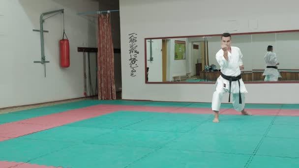 Jovem com corpo musculado, treinando artes marciais Goju-Ryu Karate-Do — Vídeo de Stock