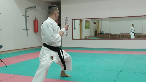 Młody człowiek z umięśnione ciało, trening sztuk walki Goju-Ryu Karate-Do — Wideo stockowe