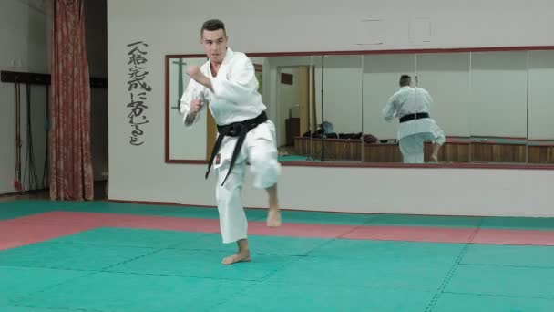Joven con cuerpo musculoso, entrenamiento de artes marciales Goju-Ryu Karate-Do — Vídeo de stock