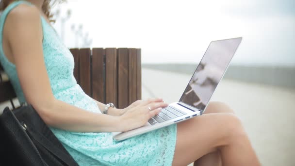 A woman sitting on a bench on the beach using a laptop — Stock Video