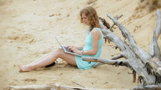 Busy beautiful young woman working on a laptop computer with business papers picking up a phone to work a call sitting on the beach by the sea on a sunny day and drinking wine from a glass — Stock Video