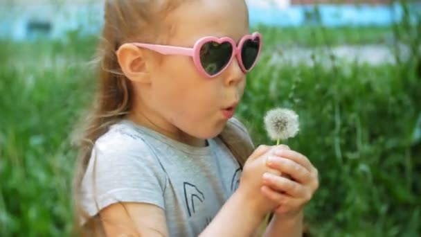 Primer plano de la niña feliz con diente de león en el parque — Vídeos de Stock