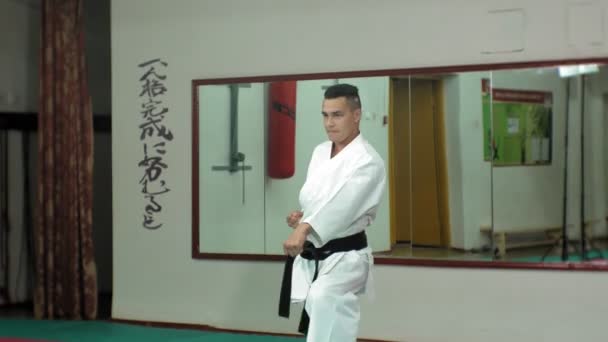 Jonge man met gespierde lichaam, opleiding van vechtsporten Goju-Ryu Karate-Do — Stockvideo