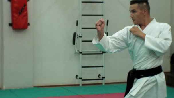 Giovane con il corpo muscoloso, la formazione di arti marziali Goju-Ryu Karate-Do — Video Stock