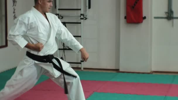 Молодой человек с мускулистым телом, тренирующий боевые искусства Годжу-рю каратэ-до — стоковое видео