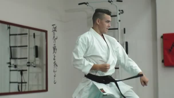 A fiatalember, izmos test, Goju-Ryu Karate-Do harcművészeti képzés — Stock videók