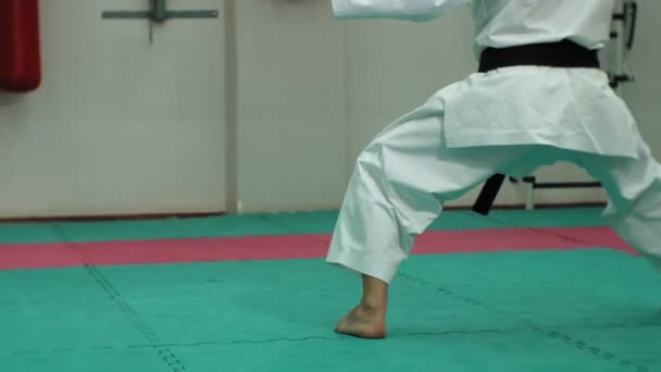 Dövüş sanatları Goju-Ryu Karate-Do eğitim kaslı vücut, Genç adamla — Stok video