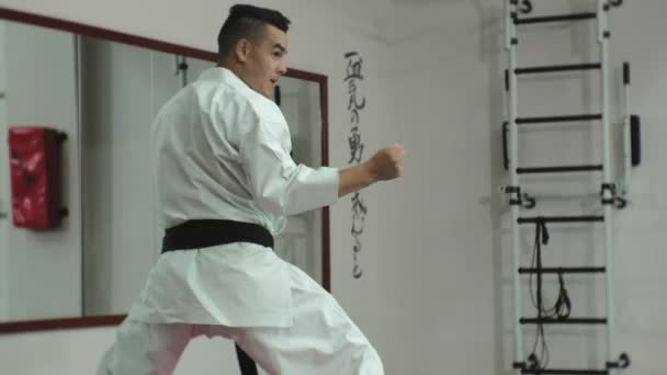 Jovem com corpo musculado, treinando artes marciais Goju-Ryu Karate-Do — Vídeo de Stock
