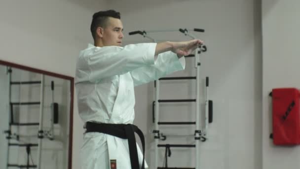 Giovane con il corpo muscoloso, la formazione di arti marziali Goju-Ryu Karate-Do — Video Stock