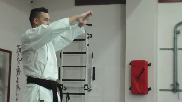 Joven con cuerpo musculoso, entrenamiento de artes marciales Goju-Ryu Karate-Do — Vídeos de Stock