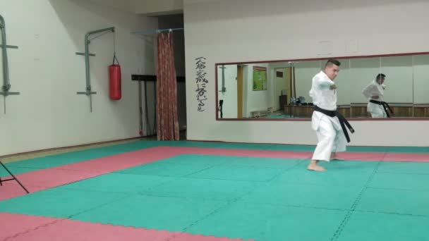 Jovem com corpo musculado, treinando artes marciais Goju-Ryu Karate-Do super câmera lenta — Vídeo de Stock