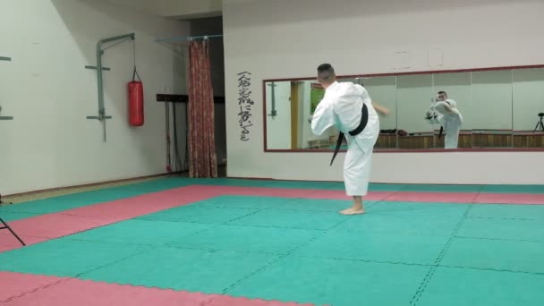 Ung man med muskulös kropp, träning kampsport Goju-Ryu Karate-Do super slow motion — Stockvideo