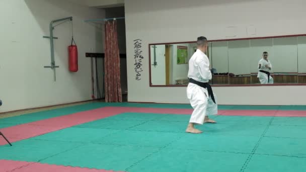 Молодой человек с мускулистым телом, тренирующий боевые искусства Goju-Ryu Karate-Do супер медленное движение — стоковое видео