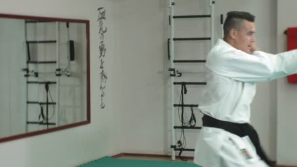 Joven con cuerpo musculoso, entrenamiento de artes marciales Goju-Ryu Karate-Do — Vídeos de Stock