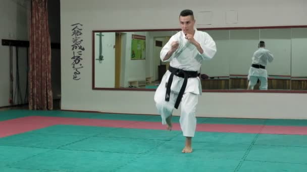 Młody człowiek z umięśnione ciało, szkolenia martial arts Goju-Ryu Karate-Do super slow motion — Wideo stockowe