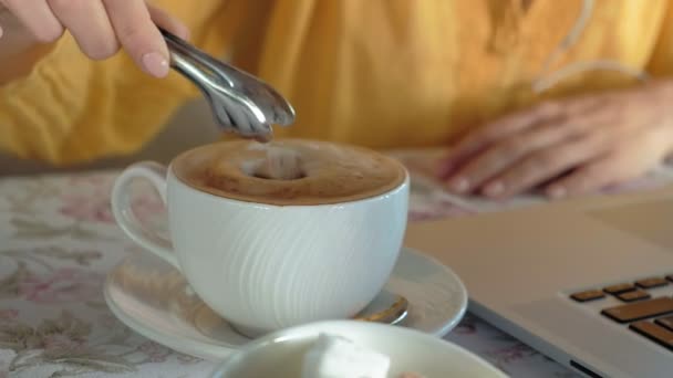 Mujer joven con un portátil moderno sentado en un café y beber capuchino café — Vídeos de Stock