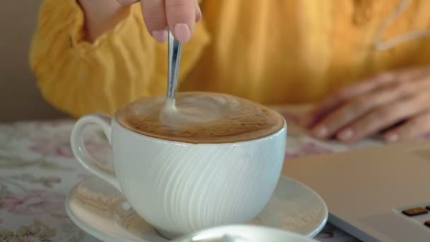 Jeune femme avec un ordinateur portable moderne assis dans un café et boire du café cappuccino — Video