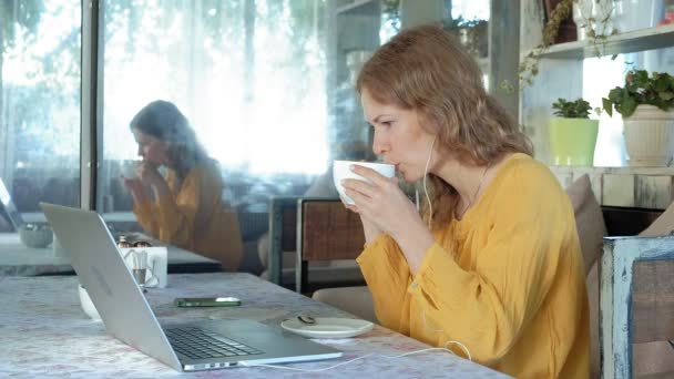 年轻女子与现代笔记本电脑坐在咖啡馆和喝咖啡卡布奇诺 — 图库视频影像