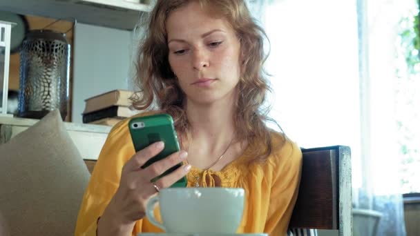 Junge Frau mit modernem Laptop sitzt in einem Café und trinkt Kaffee Cappuccino — Stockvideo