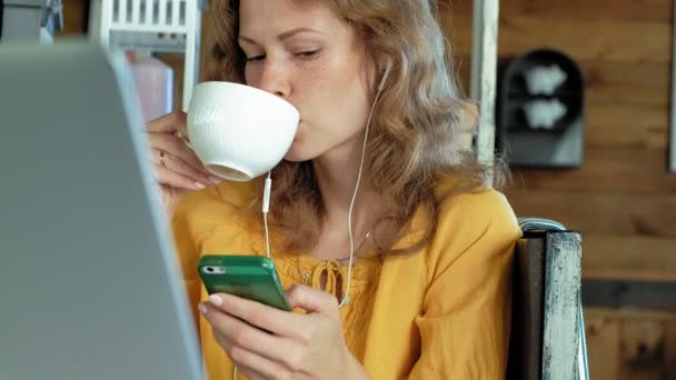 Young woman with a modern laptop sitting in a cafe and drinking coffee cappuccino — Stock Video