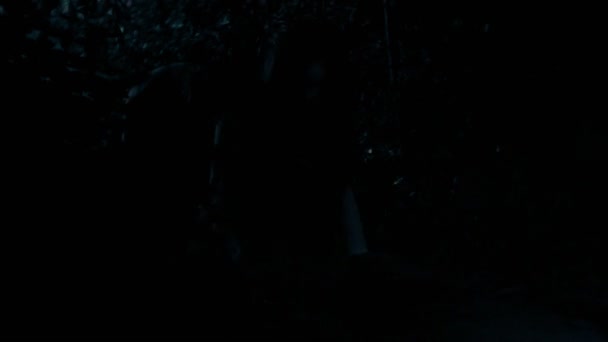 Spacer po lesie w nocy - dziewczyna nieumarłych zombie, obsesję na punkcie atakami zła w aparacie — Wideo stockowe