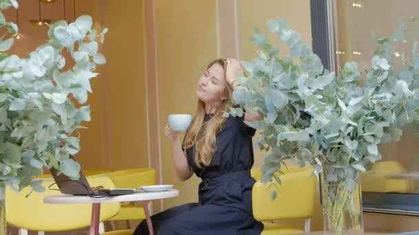 Business woman sitting at a table in a cafe drinking coffee and working on a laptop — Stock Video