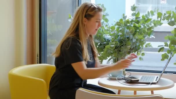 Business woman sitting at a table in a cafe drinking coffee and working on a laptop — Stock Video