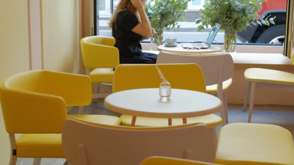 Business woman sitting at a table in a cafe drinking coffee and working on a laptop — Stock Video