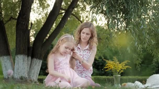 一个快乐的母亲梳着她女儿的头发。在一个城市公园的家庭在一个温暖的傍晚在日落野餐. — 图库视频影像