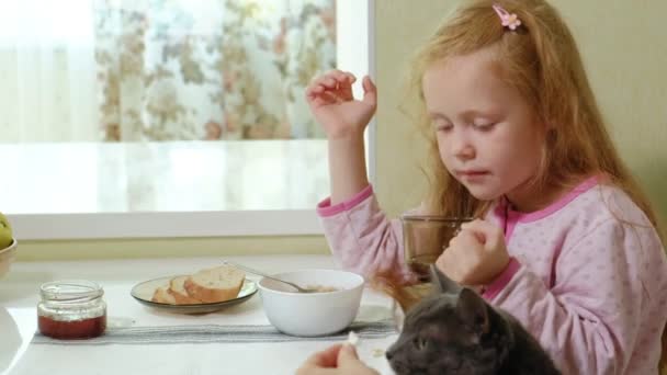 Een klein meisje is het eten van PAP in de keuken thuis en haar kat voeden — Stockvideo