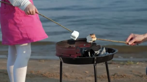 Mamma e figlia friggono marshmallow e verdure su un barbecue sulla spiaggia sulla spiaggia — Video Stock