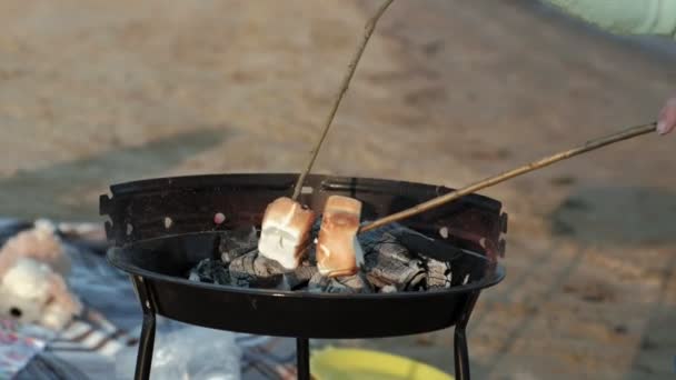 Mother and daughter fry marshmallows and vegetables on a barbecue on the beach on the beach — Stock Video