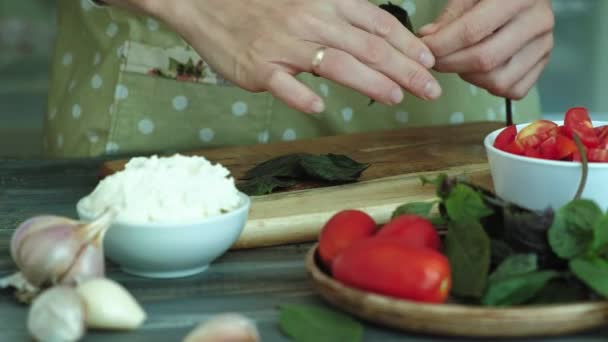 O tiro de close-up de uma mão de mulheres prepara-se de queijo de pão e verduras de uma bruschetta italiana . — Vídeo de Stock