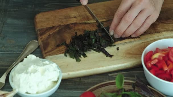 Gros plan d'une main de femme est préparé à partir de fromage à pain et légumes pour une bruschetta italienne . — Video