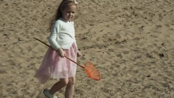 Маленькая милая девочка ловит насекомых с зеленой сеткой в переулке рядом с рекой в солнечный летний день — стоковое видео