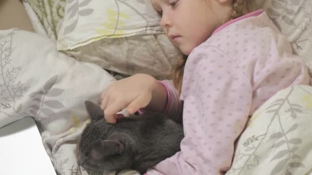 Menina doente com uma temperatura. Uma criança com febre está deitada na cama com um gato . — Vídeo de Stock