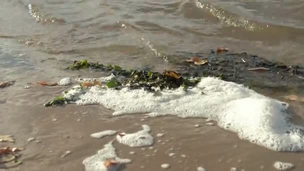 Soft Blue Ocean Wave på sandstranden. Bakgrund. Selektivt fokus. — Stockvideo