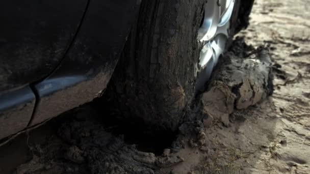 Auto vast te zitten in het zand door de oever — Stockvideo