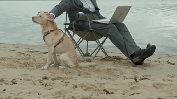 Olgun işadamı ile oturma ve rahatlatıcı bir nehir kenarında köpek. Erkek takım elbise ve dizüstü bilgisayar kullanarak. — Stok video