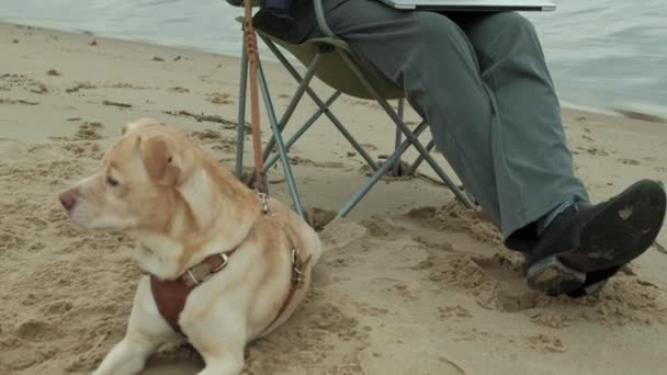 Rijpe zakenman met hond zitten en ontspannen in de buurt van een rivier. Man in pak en met behulp van laptop. — Stockvideo