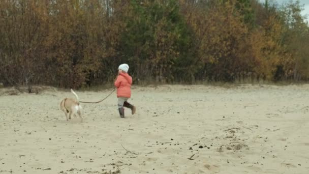 Menina e cachorro na praia no dia de verão — Vídeo de Stock