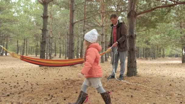 Giovane Uomo Nel Bosco Mette Amaca Figlia Cammina Nelle Vicinanze — Video Stock