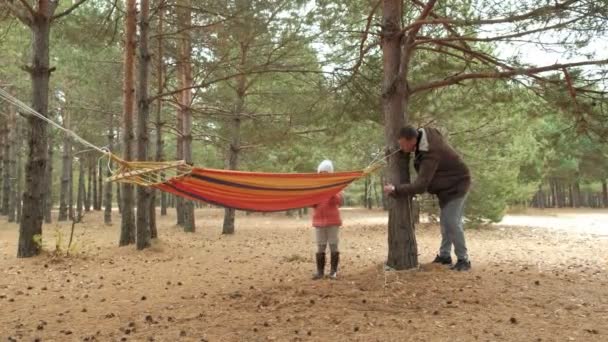 Un joven en el bosque pone hamaca. Hija camina cerca . — Vídeo de stock