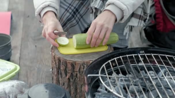 Vrouw toerist in warme kleren op een brug in de buurt van de bank van de rivier met een rugzak, zeef groenten, bereiden van voedsel op de barbecue, picknick, actieve rust, gezonde levensstijl. Travel concept — Stockvideo