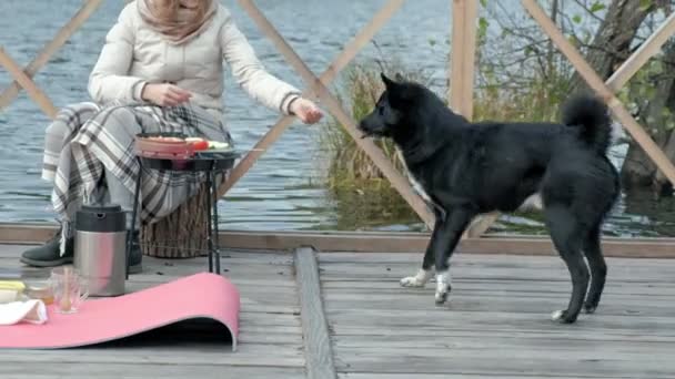 Woman tourist in warm clothes on the bridge near the river bank with a backpack, prepares grilled vegetables, feeds the dog, picnic, outdoor activities, healthy lifestyle. Travel concept — Stock Video