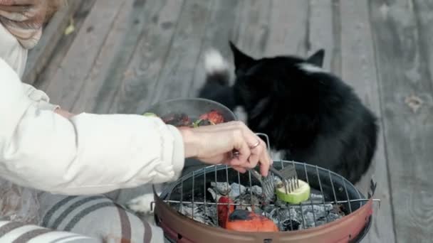 Une touriste en vêtements chauds sur un pont près de la rive avec un sac à dos, prépare des légumes grillés, un chien, un pique-nique, un repos actif, un mode de vie sain. Le concept de voyage, gros plan — Video