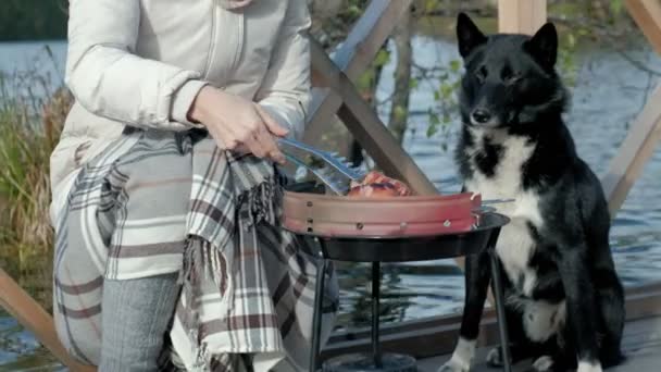 Γυναίκα τουρίστας σε ζεστά ρούχα στη γέφυρα από την όχθη του ποταμού με ένα σακίδιο, προετοιμασία λουκάνικα στη σχάρα, πικ-νικ, κάθεται δίπλα σε ένα σκύλο, ενεργό αναψυχή, υγιεινό τρόπο ζωής. Έννοια του ταξιδιού — Αρχείο Βίντεο