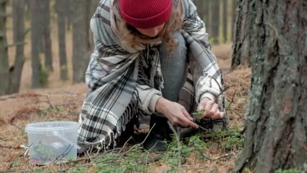 Junge Frau pflückt bei kaltem Wetter im Herbst Beeren im Wald — Stockvideo