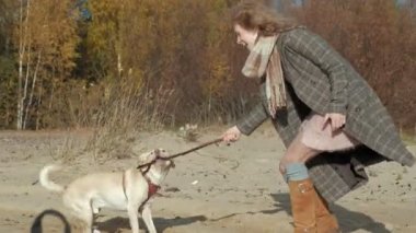 Genç kadın bir paltoyla kıvırcık saçlı bir kız, anne ve kızı, koş, kahverengi bir köpek sahilde oynamak, köpek ile bir sopa, soğuk hava çalış